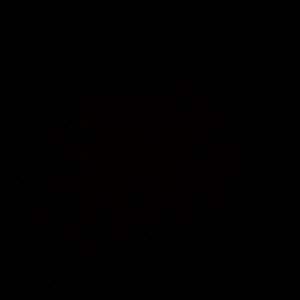 Meet your Posher, Genna